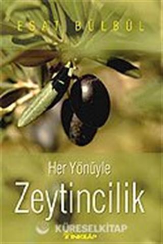 Her Yönüyle Zeytincilik