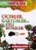 Çiçekler Kaktüsler ve Etli Bitkiler