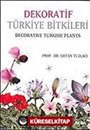 Dekoratif Türkiye Bitkileri