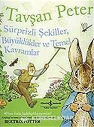 Tavşan Peter-Sürprizli Şekiller, Büyüklükler ve Temel Kavramlar