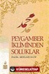 Peygamber İkliminden Soluklar