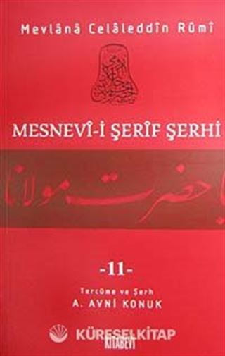 Mesnevi-i Şerif Şerhi 11